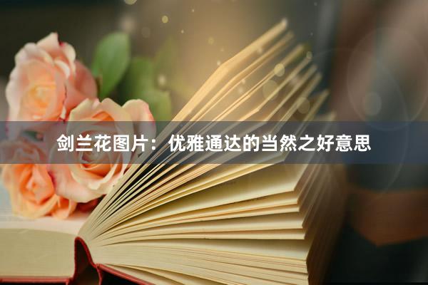 剑兰花图片：优雅通达的当然之好意思